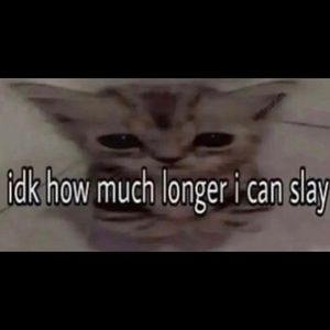 Meet your Posher, Ericca